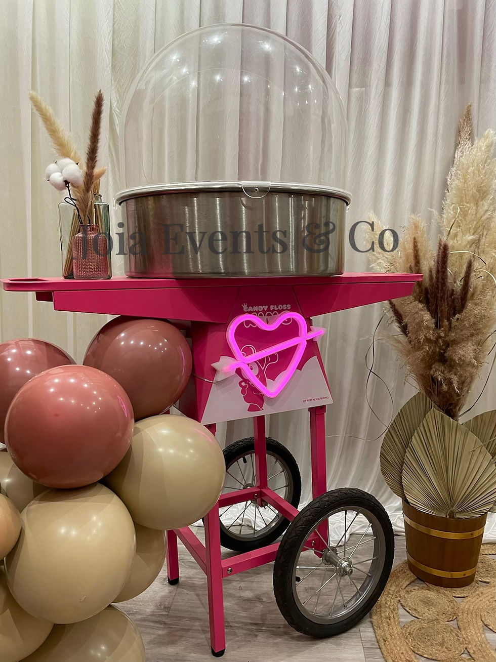 Miniature : Location machine barbe-à-papa avec chariot