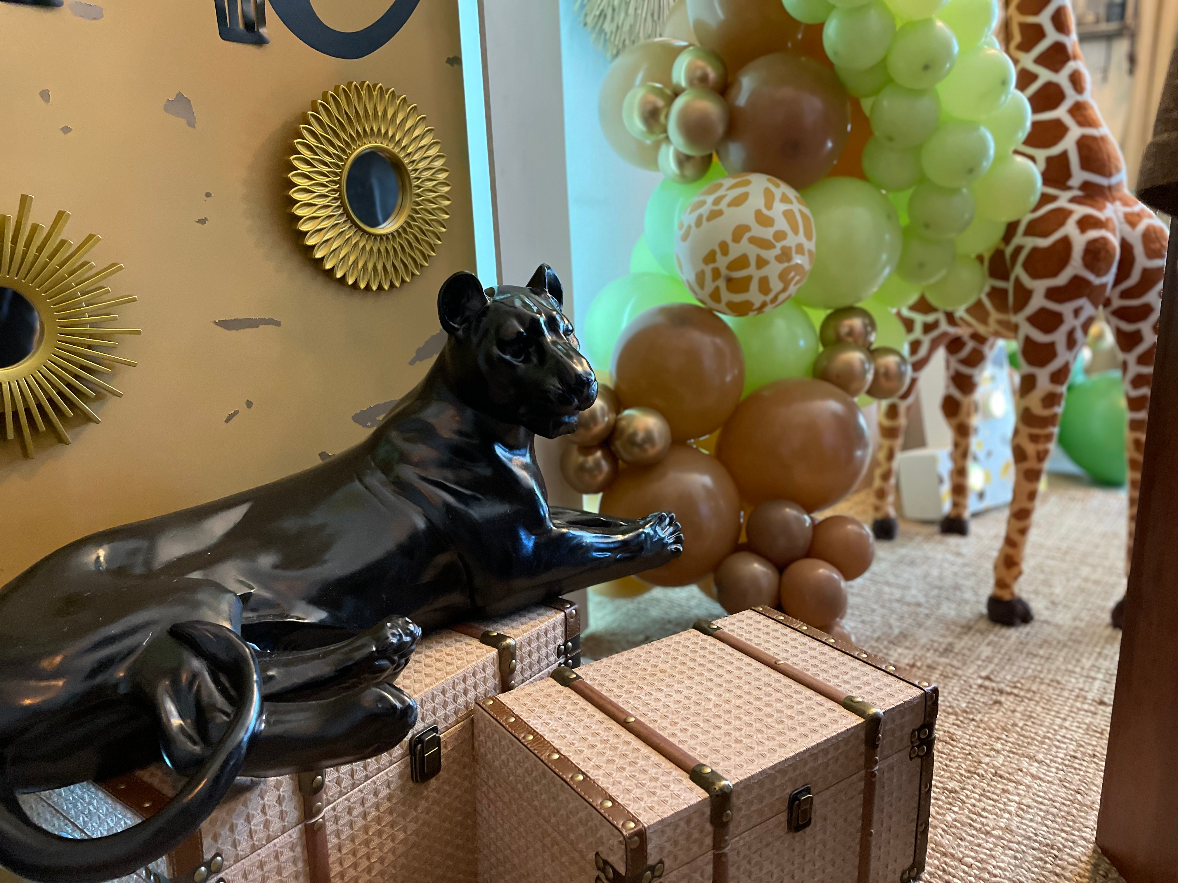 Location malles enfants SAFARI