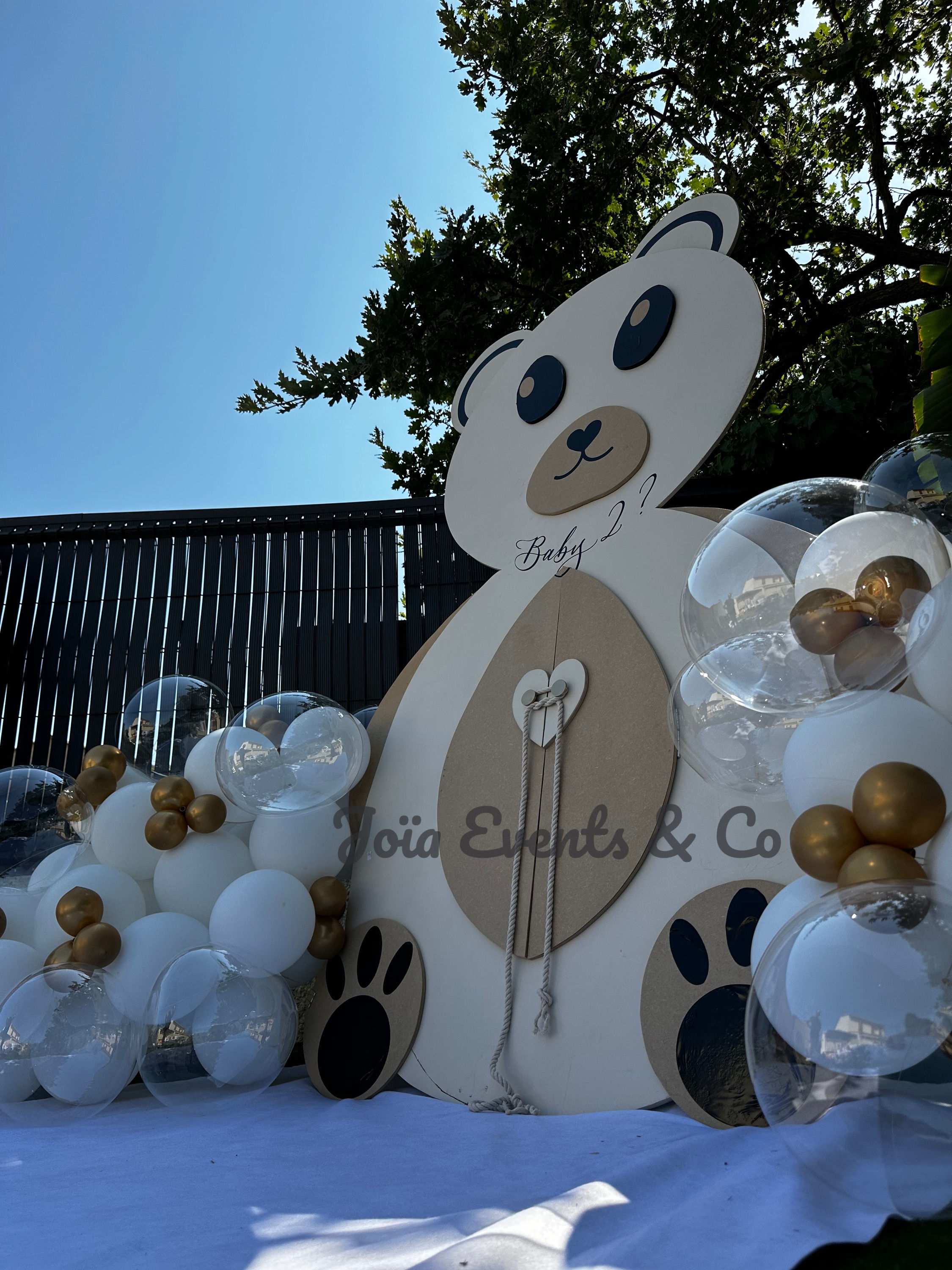 Location backdrop nounours de révélation - Gender Reveal