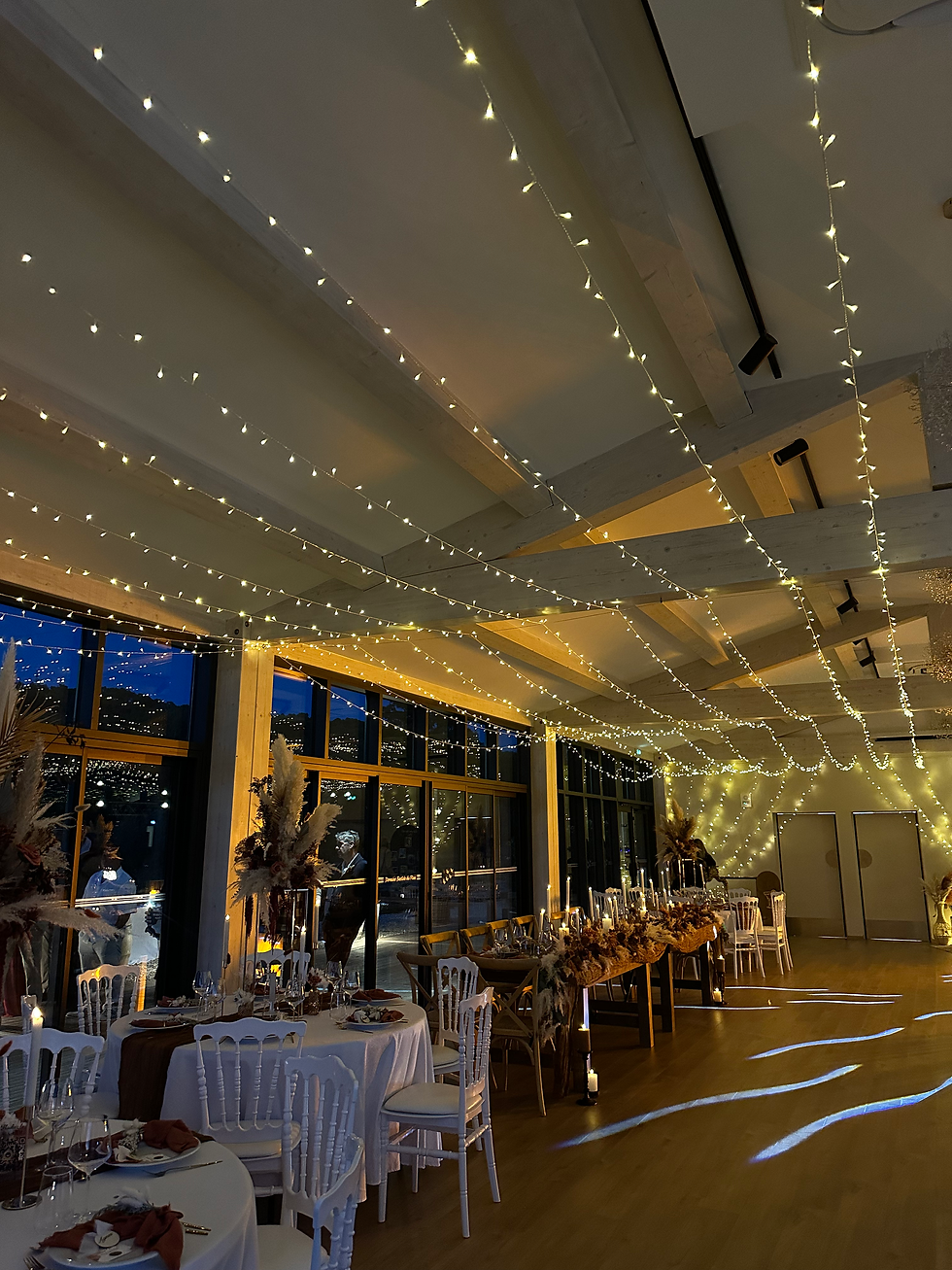 Miniature : Pose de ciel étoilé tous types de salle de reception