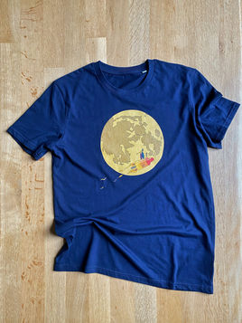 Fly me to the moon 3.jpeg