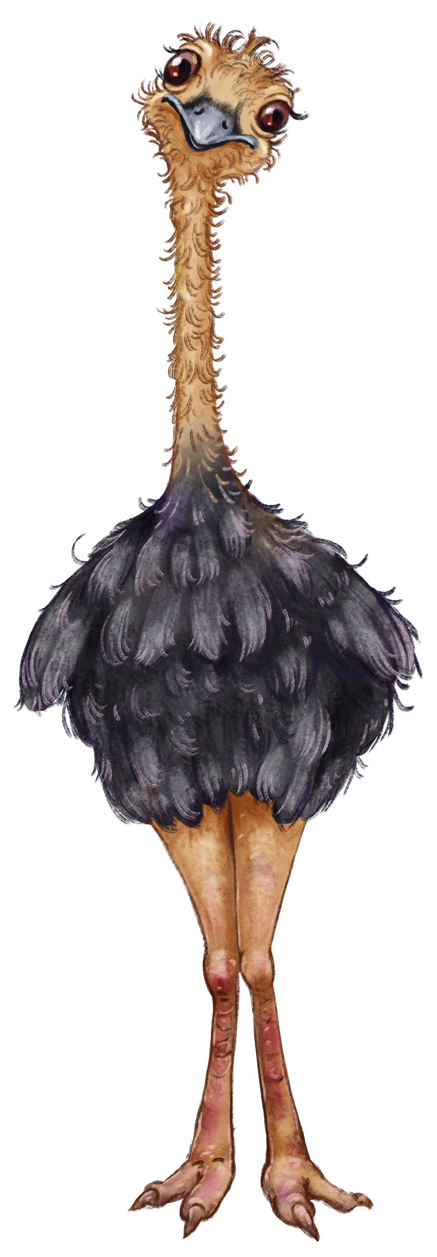 Ostrich Great Booger Book