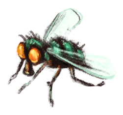 Kids Book Fly Illustration