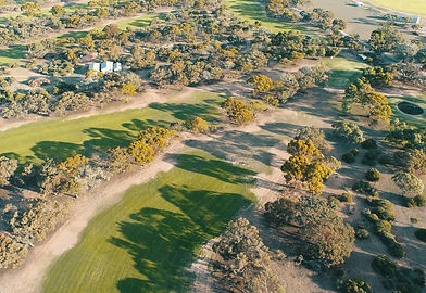 GOLF COURSE 1.jpg