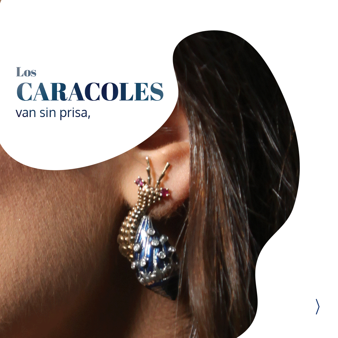 GIFcaracol.gif