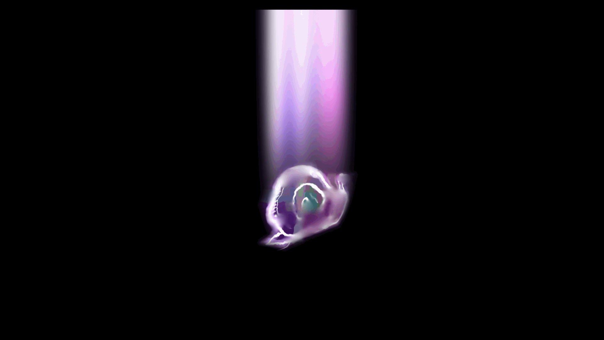 snail