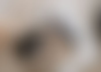 LEY 2088 DEL 2021: REGULACIÓN DEL TRABAJO EN CASA DESARROLLADO EN SITUACIONES OCASIONALES, EXCEPCION