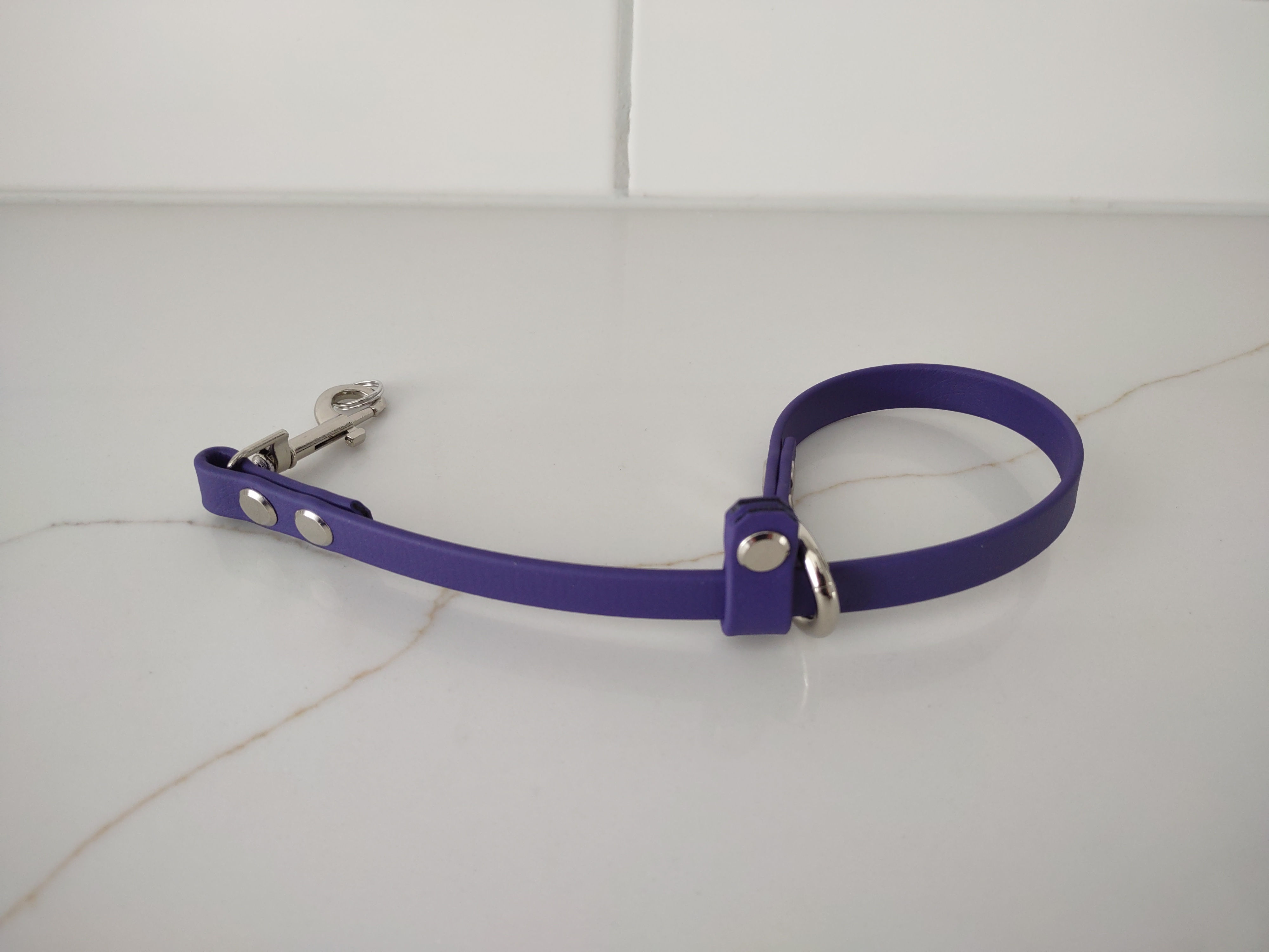 Ecollar Remote Wrist Strap