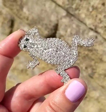 Thumbnail: Frog Brooch