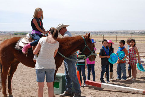 Marler Performance Horses