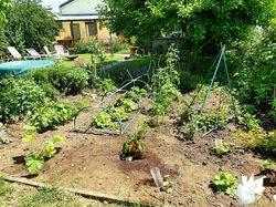 IMG-20200620-WA0001 (1).jpg