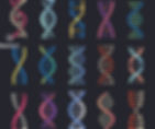 ADN de muchos colores