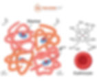 Estructura de la hemoglobina