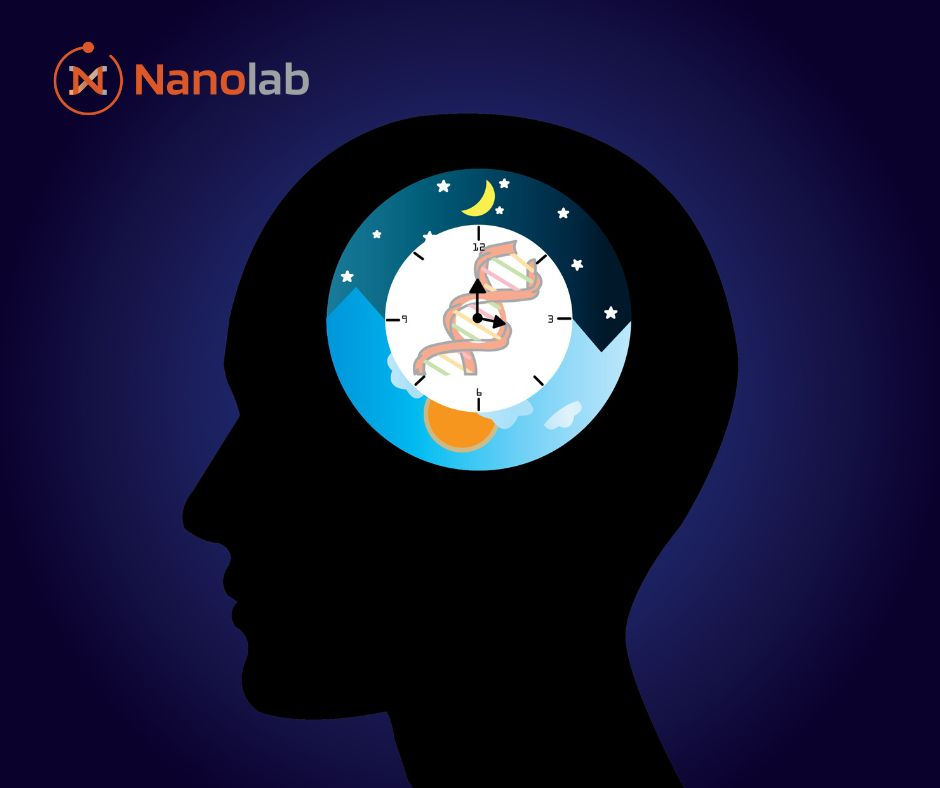 ADN y glándula pineal