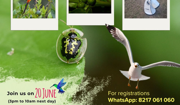 Coorg - 20 June, 2026 Discover the Wonders of Coorg event registration