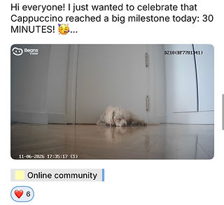 Screenshot (3).jpg