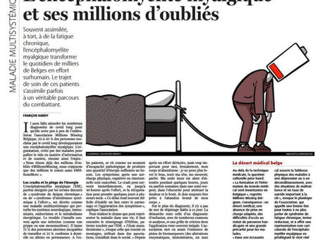 Bon article dans le journal Le Soir