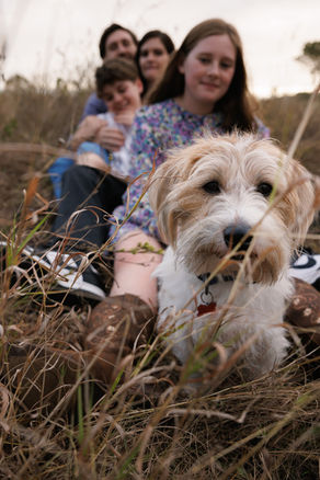 Whole family sitting together on a blanket in a Rockhampton field with their dog during golden hour, photographed by Sarah Joy.
