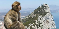 Gibraltar.jpg