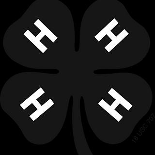 Writer: Augusta 4-H