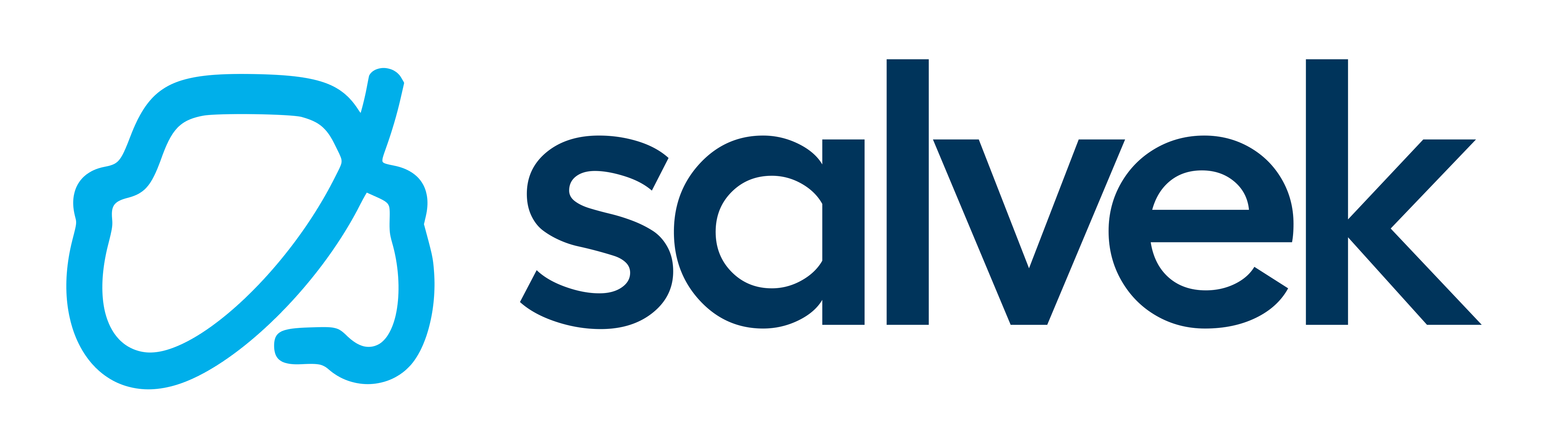 Salvek - Marketplace for Buying and Selling Repairable, Salvage and Rebuilt Vehicles