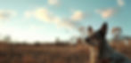 pack mates hero banner image.jpg