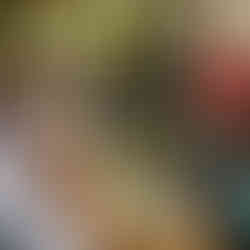 Equine Dentist Performing Work On Horse Teeth