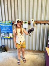Days+Out+In+Skegness+Visiting+The+Northcote+Heavy+Horse+Centre+Holding+an+Owl.jpeg