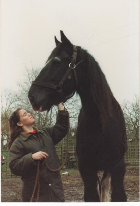 Goliath the the Guinness World Record Book Holder for the World's Tallest Shire Horse.