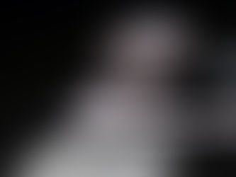 A Beginners Guide To Caring For Ferrets