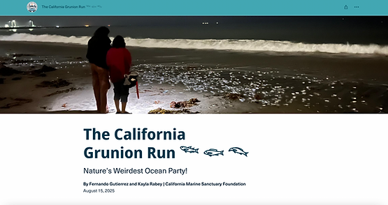 Screen Shot 2025-12-03 at 4.25.38 PM.png