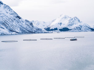 Statsforvalterne – hva er korrekt behandling av lokalitetssaker?