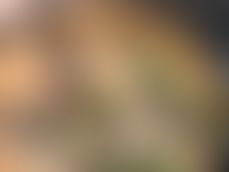 Lövbiffsrullader i krämig svampsås