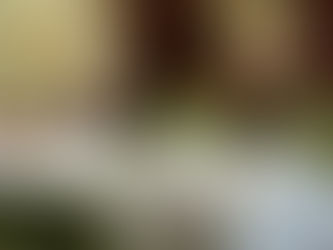 The World Is Boring Because We’re Afraid of Embarrassment