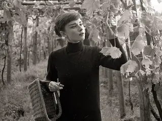 Finding La Dolce Vita: The Italian Art of Living Well