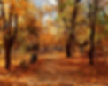 489ac921254485990b88f9cd7de51054_edited.jpg