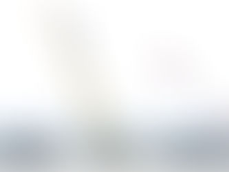 Navigate the exciting possibilities in French engineering programs