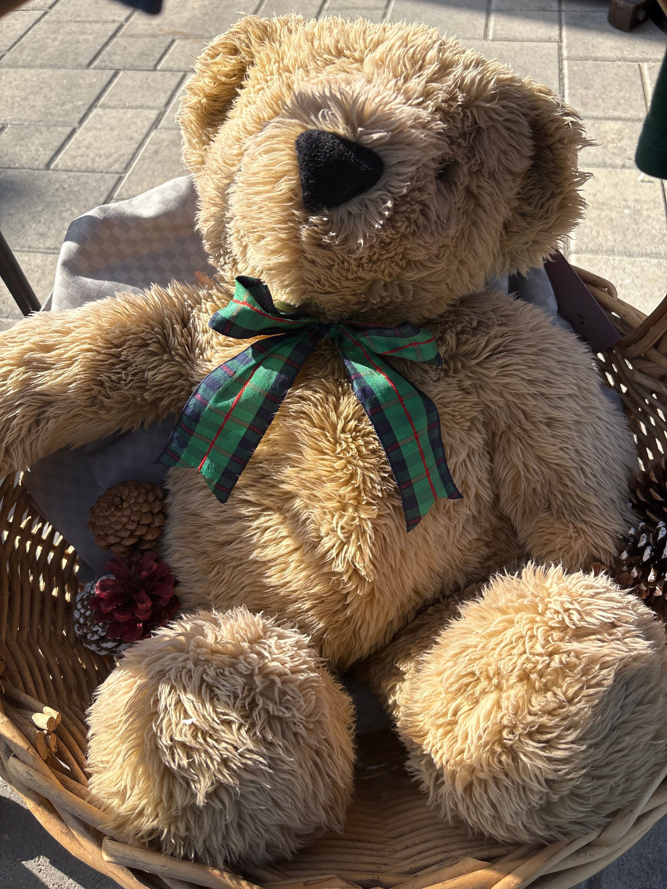 Rugles Teddy Bear 1989