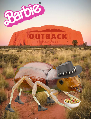 Photoshop. Beetle with long legs wearing an austrailian hat and shoes, holding a quinoia salad (she's a vegetarian) in front of a plateau that says Outback Steakhouse)