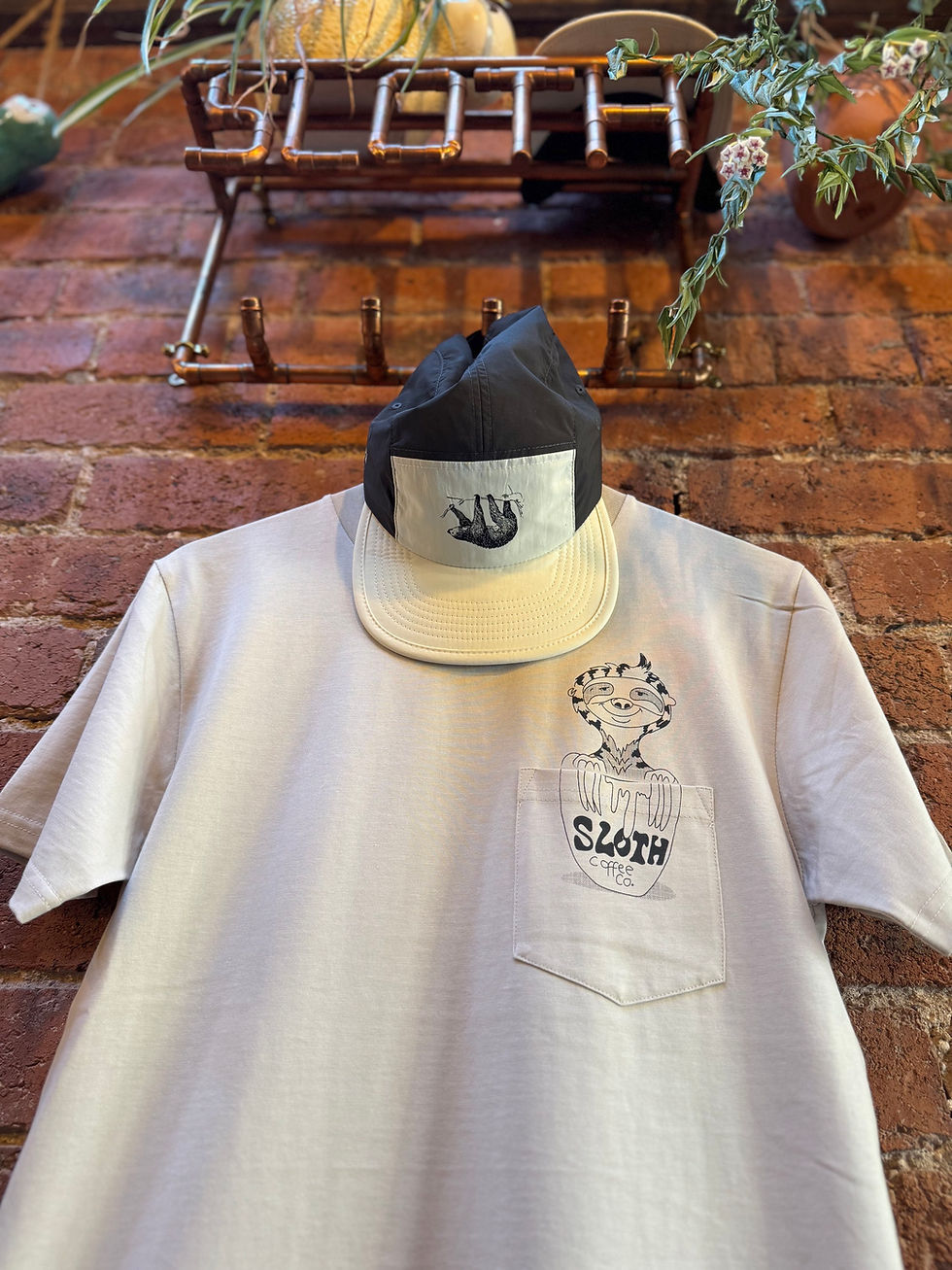 Thumbnail: Sloth Pocket Tee