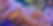 clownfish.jpg
