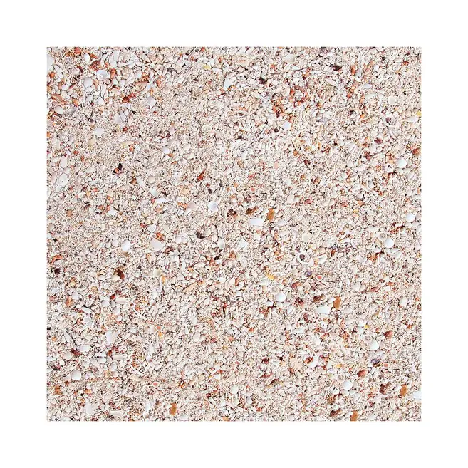 Thumbnail: Nature's Ocean Bio Activ Live Marine Aragonite
