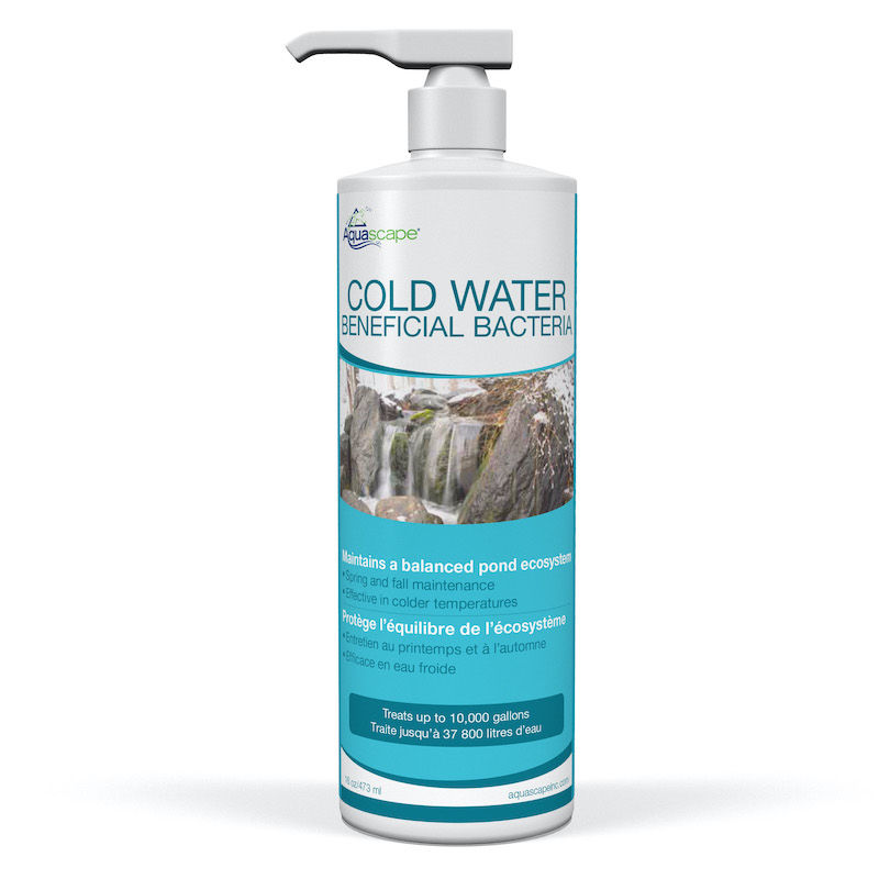 Thumbnail: Cold Water Beneficial Bacteria