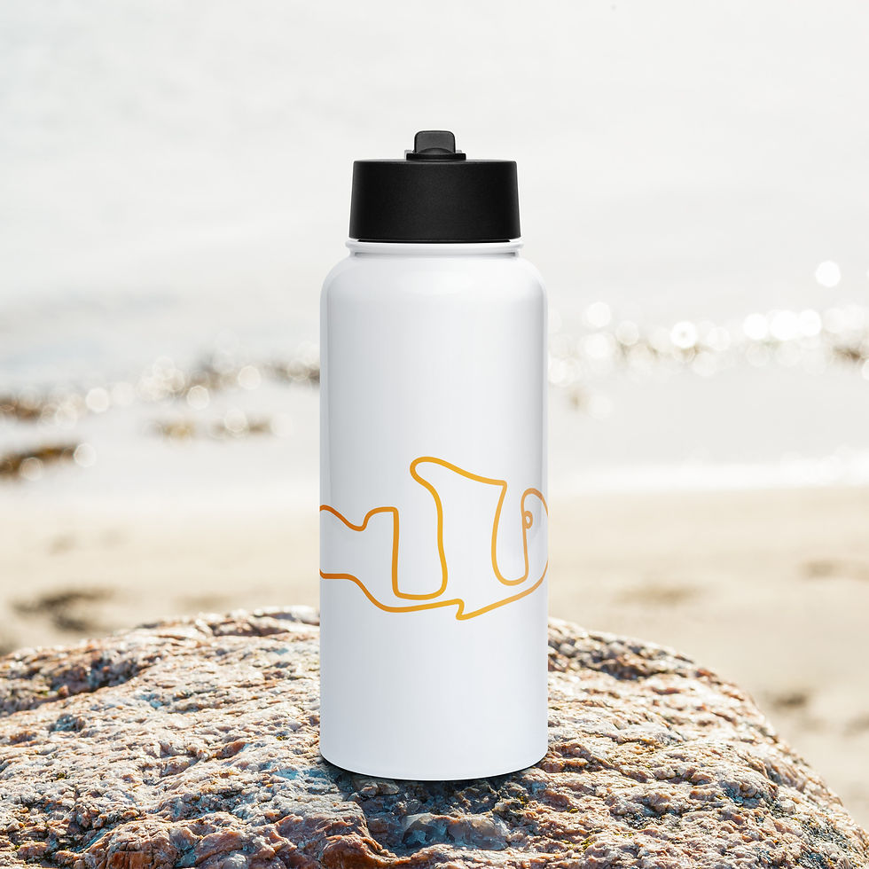 Thumbnail: Clownfish Stainless Steel Water Bottle w/ Straw Lid
