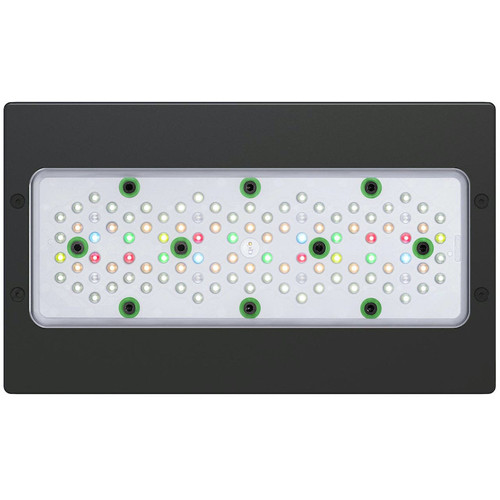 Ecorium R5 EcoTech Marine Radion G5 XR30 - Freshwater | Atlantic Aquariums