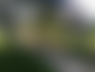 Main Fence After - Detroit Interior Design