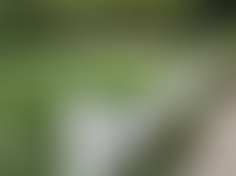 Fence Before - Detroit Interior Design