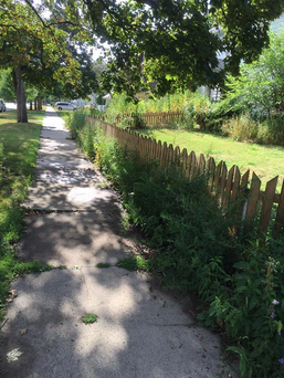 Landscaping Before - Detroit Interior Design