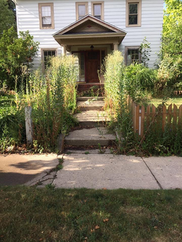 Landscaping Before - Detroit Interior Design