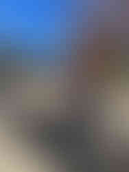 Sanding Process | Motor City Designworks | Detroit Interior Design | eDesign | Virtual Interior Design